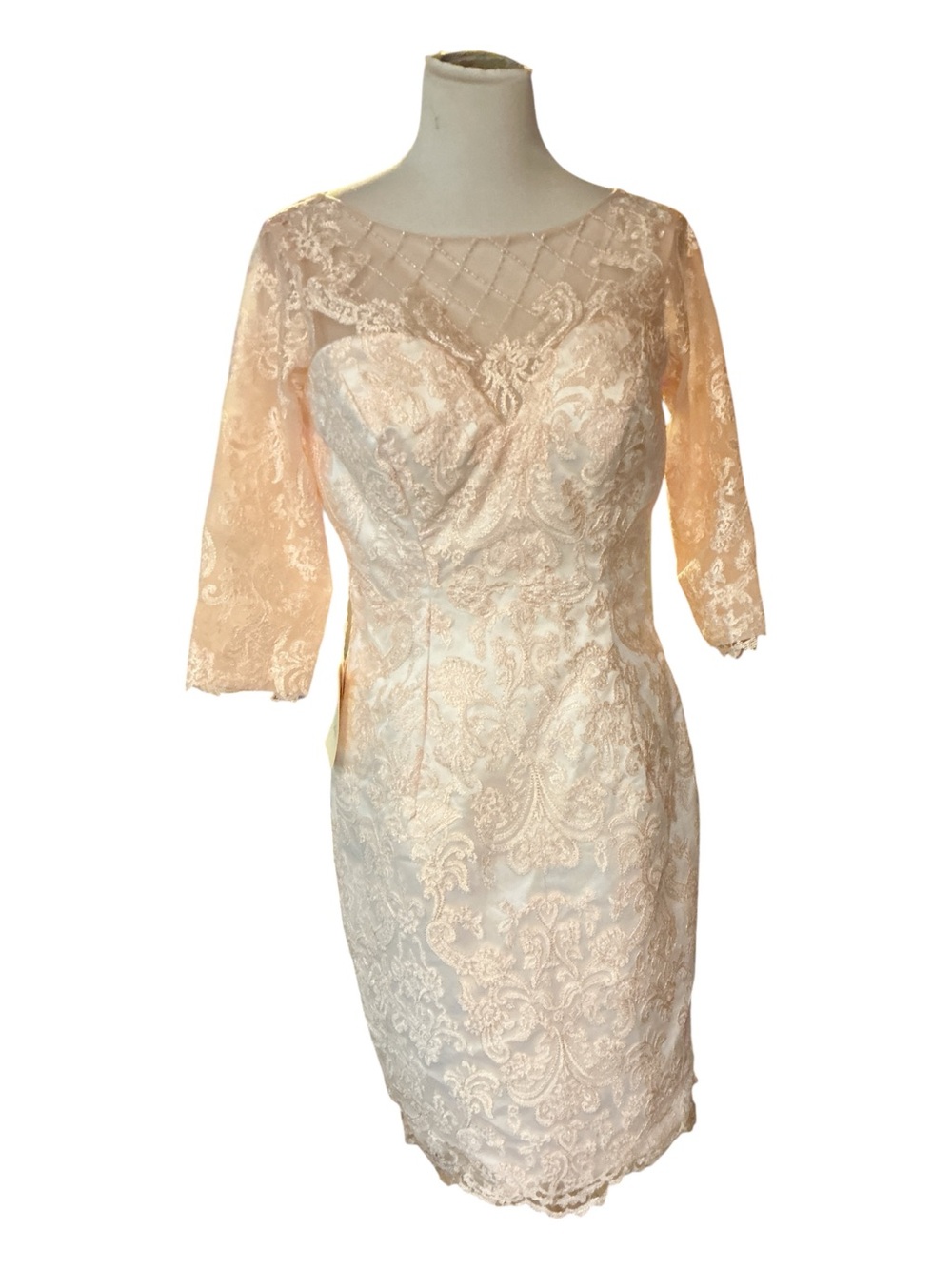 Elegant Lace Sheath Dress in Blush
